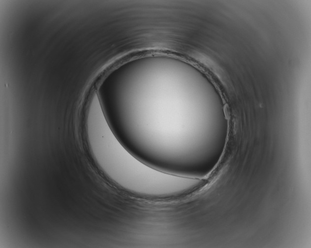 X0000089421069200706150959