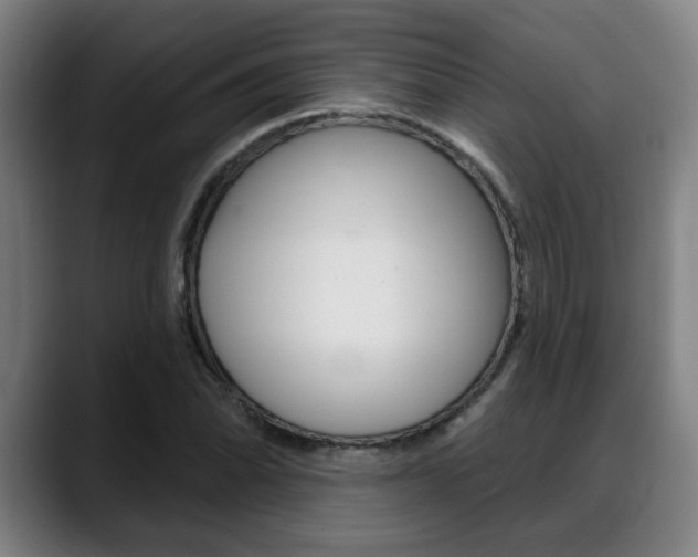 X0000089421070200706150959