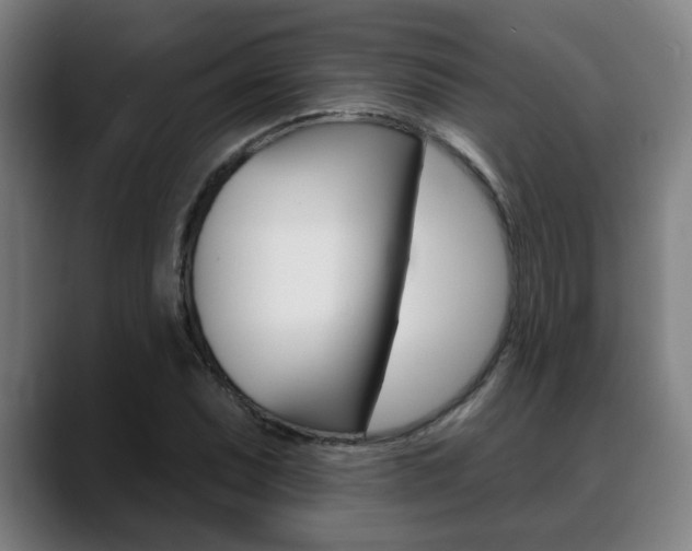 X0000089421071200706150959