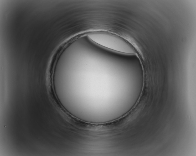 X0000089421072200706150959