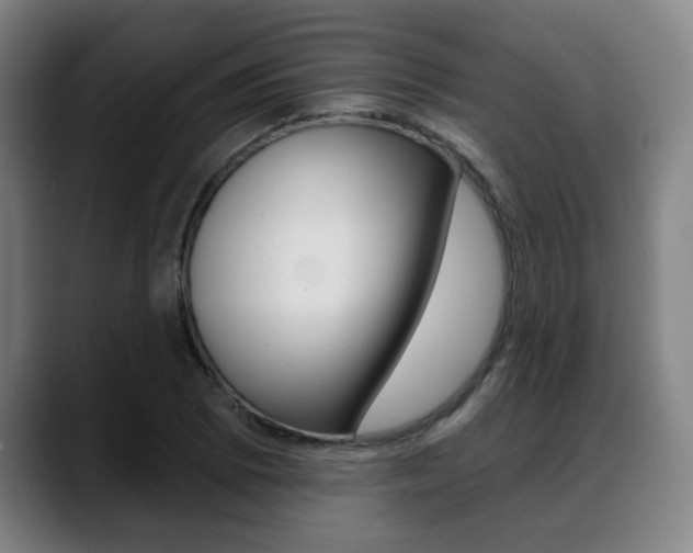 X0000089421073200706150959