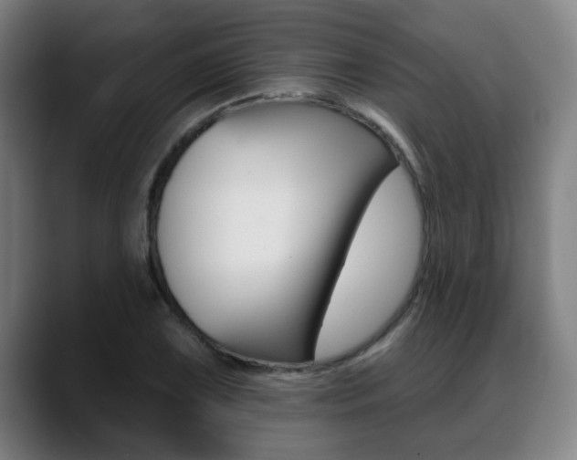 X0000089421075200706150959