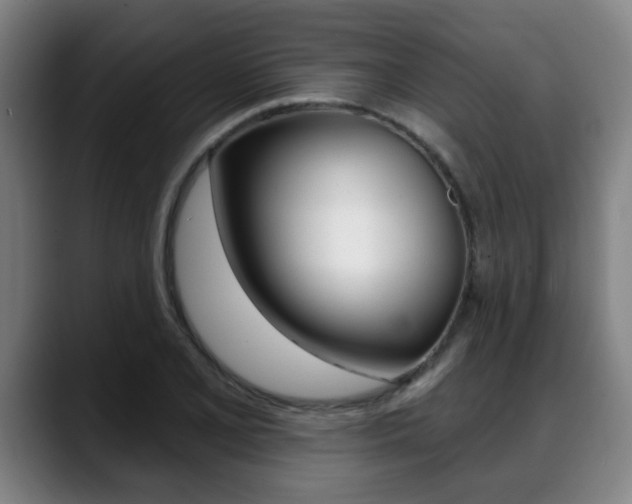 X0000089421077200706150959