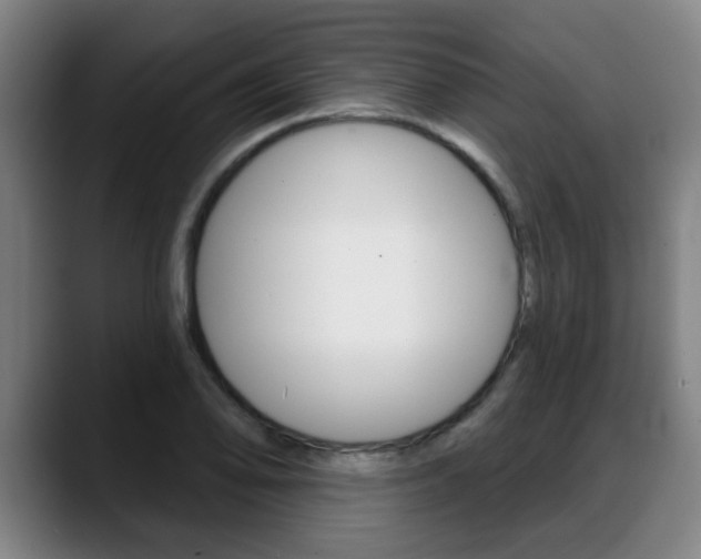 X0000089421078200706150959