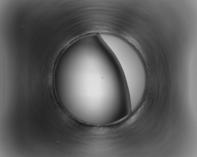 X0000089421081200706150959