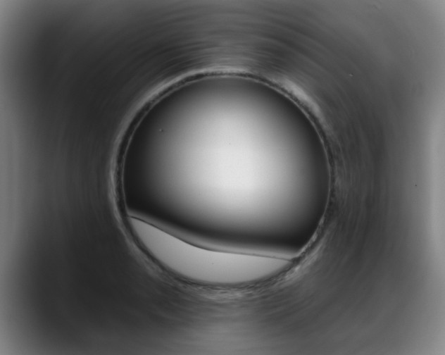 X0000089421085200706150959