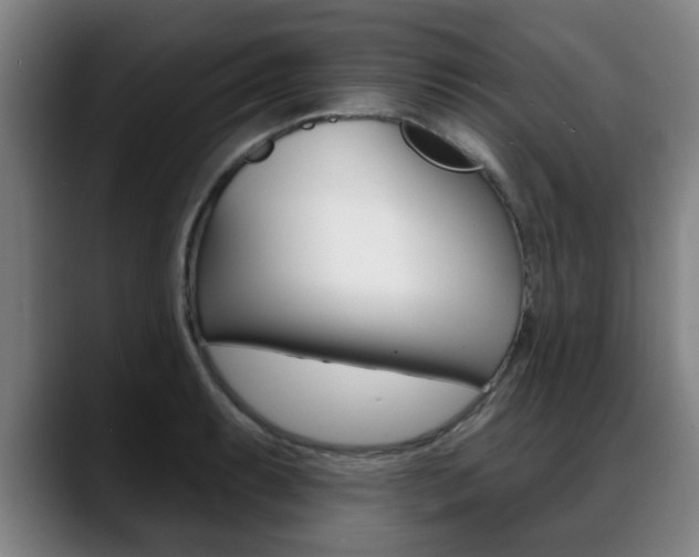 X0000089421087200706150959