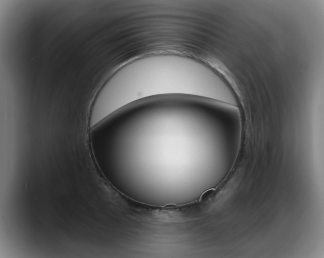 X0000089421089200706150959