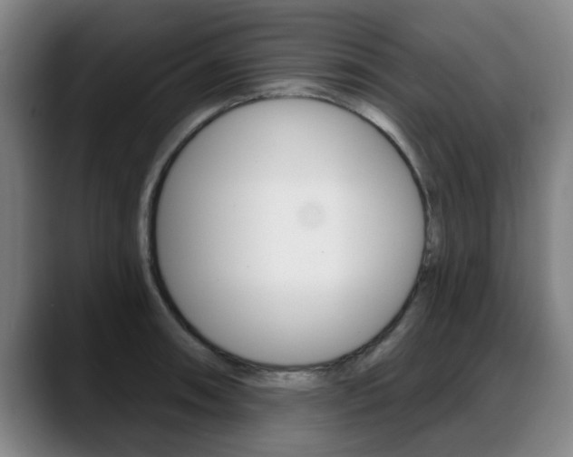 X0000089421090200706150959