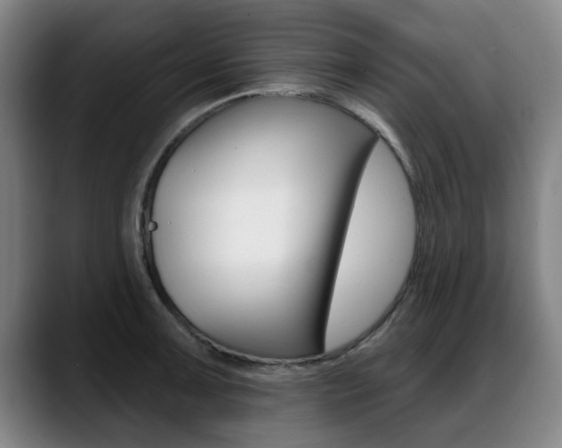 X0000089421091200706150959