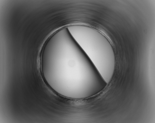 X0000089421092200706150959