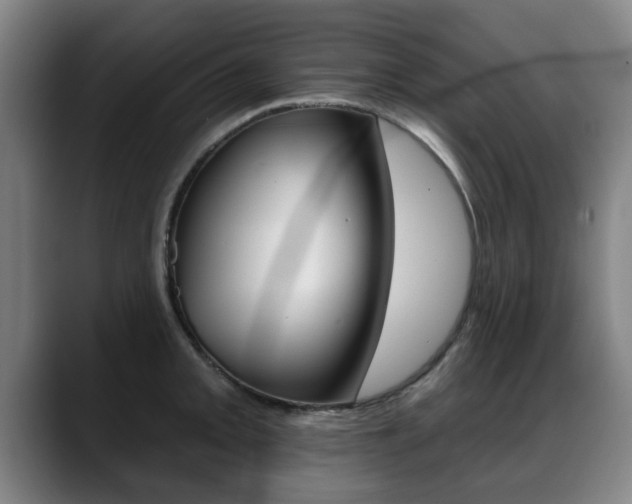 X0000089421093200706150959