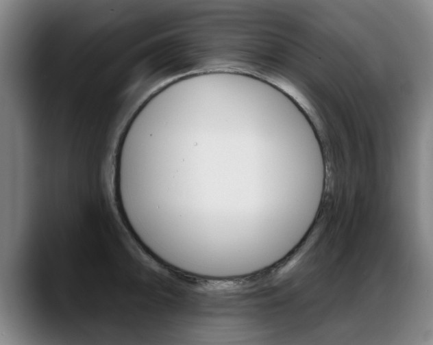 X0000089421094200706150959