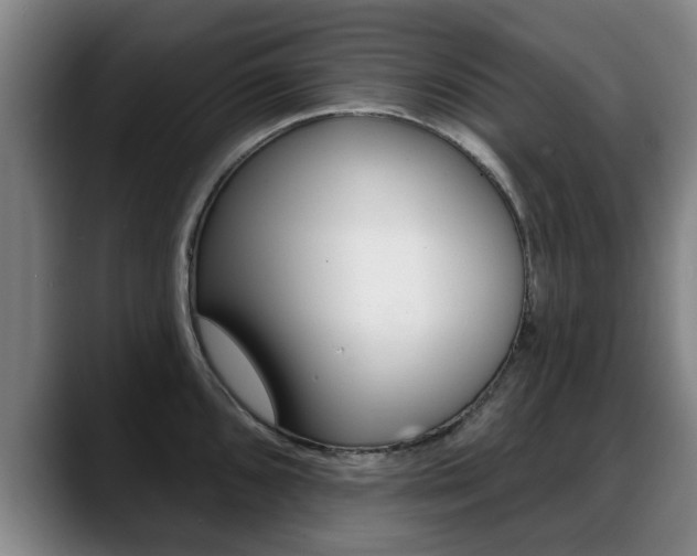 X0000089421096200706150959