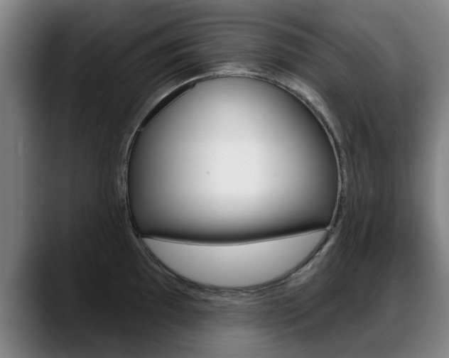 X0000089421097200706150959
