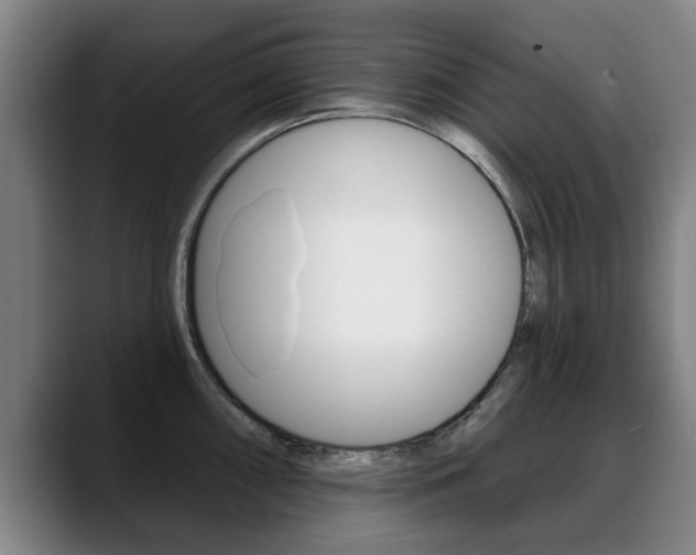 X0000089421098200706150959