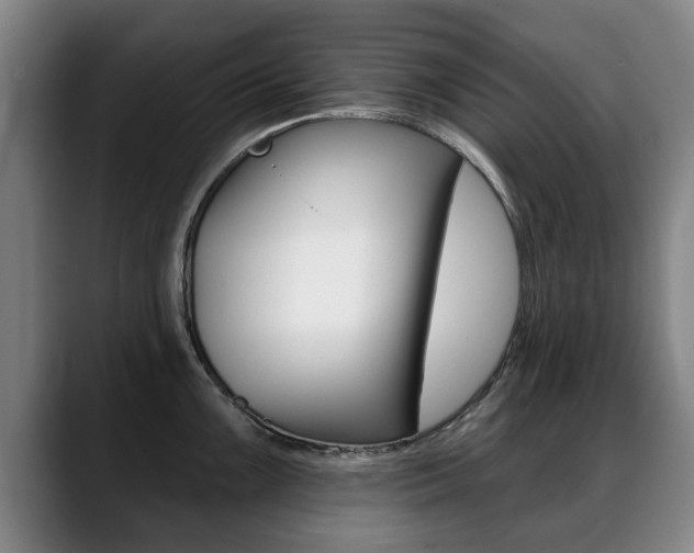 X0000089421099200706150959