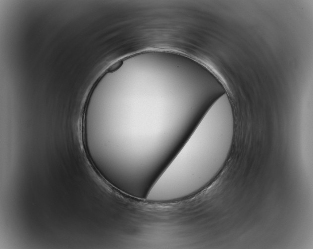 X0000089421100200706150959