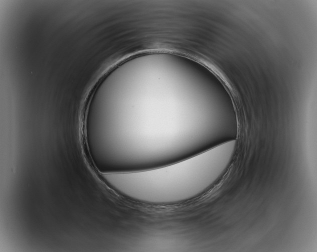 X0000089421101200706150959