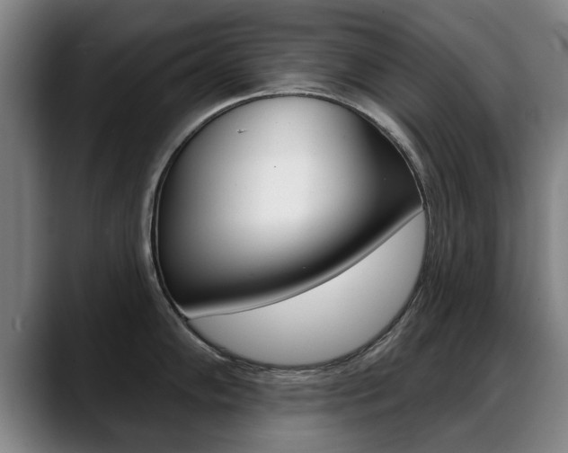 X0000089421102200706150959