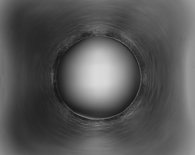 X0000089421108200706150958