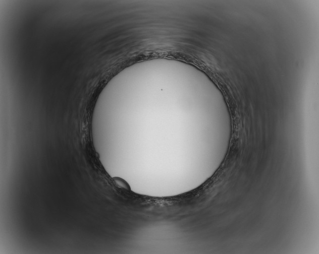 X0000089421109200706150958