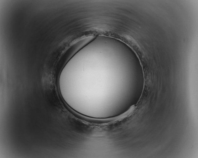 X0000089421110200706150958