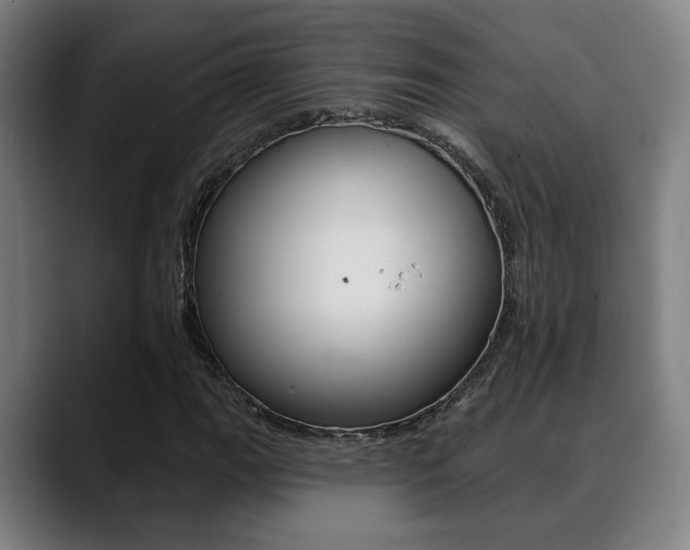 X0000089421111200706150958