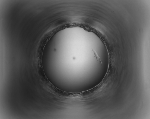 X0000089421112200706150958
