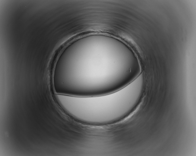 X0000089421114200706150958