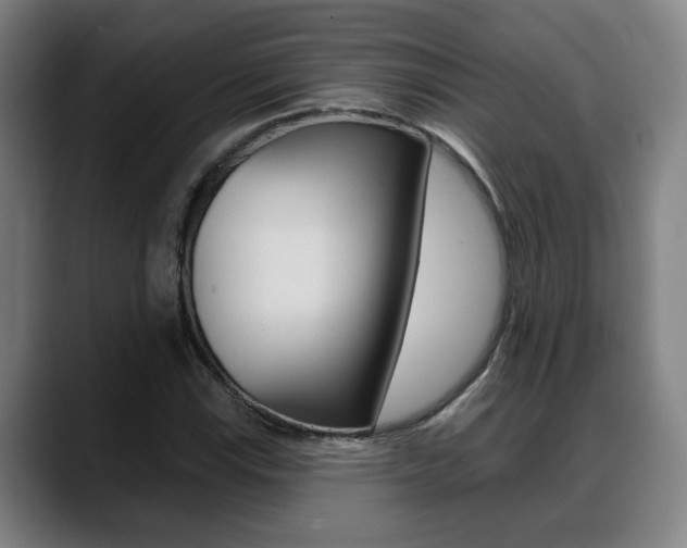 X0000089421115200706150958
