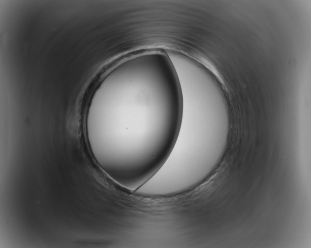 X0000089421116200706150958