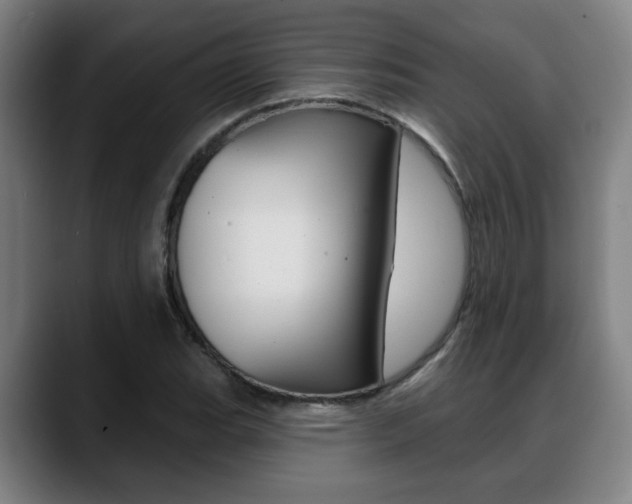 X0000089421119200706150958