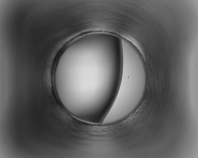 X0000089421120200706150958