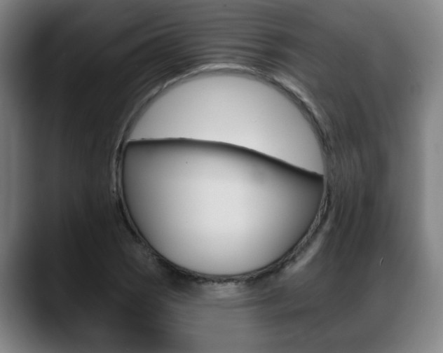 X0000089421121200706150958
