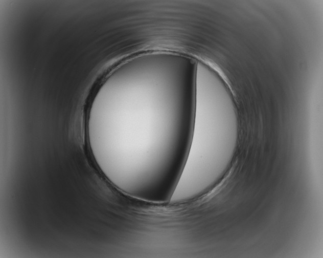 X0000089421123200706150958