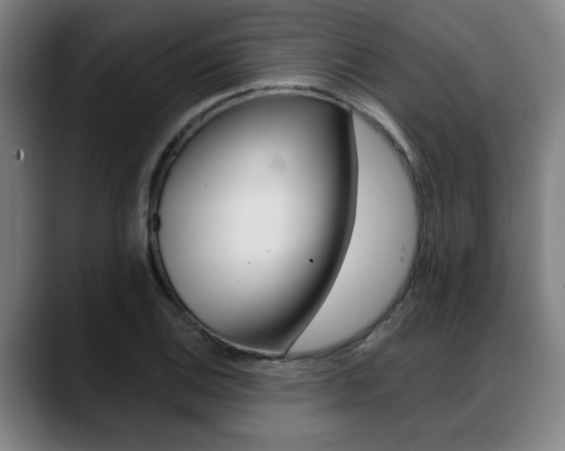 X0000089421124200706150958