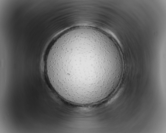 X0000089421125200706150958