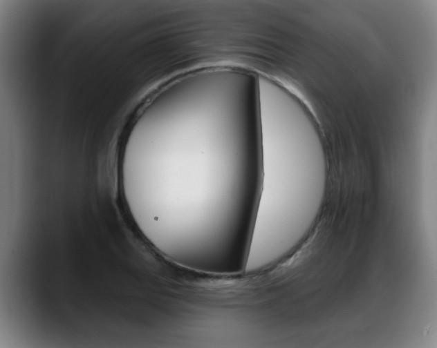 X0000089421127200706150958