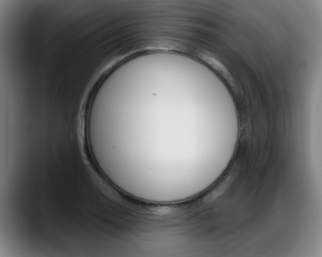 X0000089421130200706150958