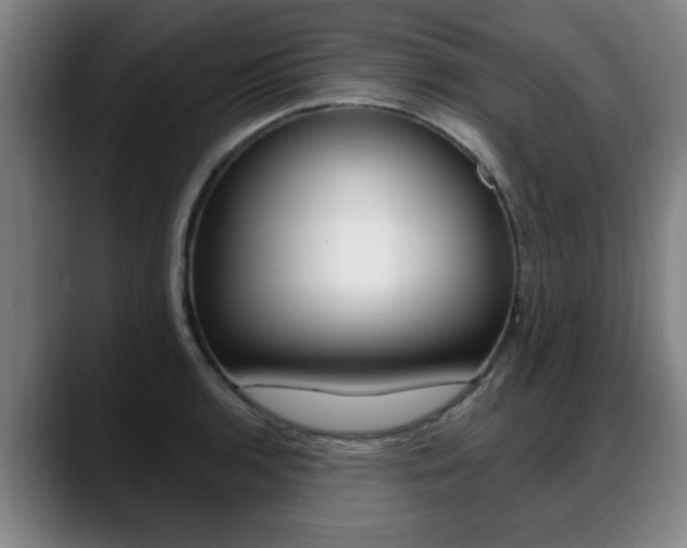 X0000089421136200706150959