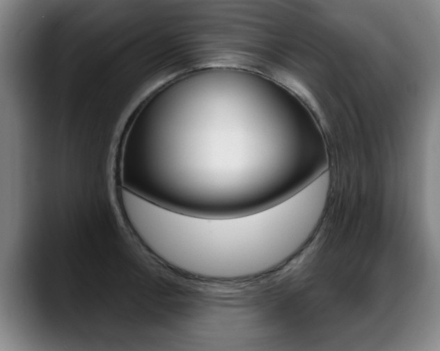 X0000089421138200706150959