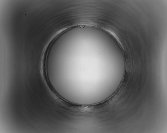 X0000089421139200706150959