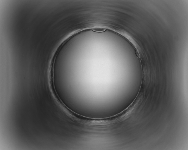 X0000089421142200706150959