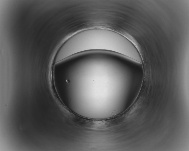 X0000089421144200706150959