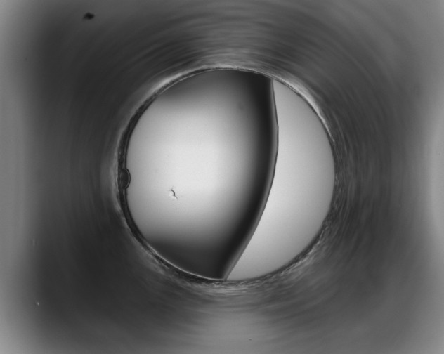 X0000089421147200706150959