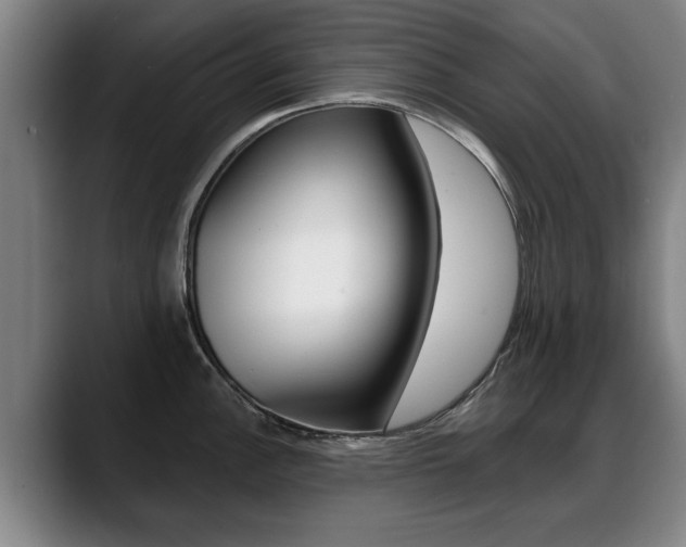 X0000089421148200706150959