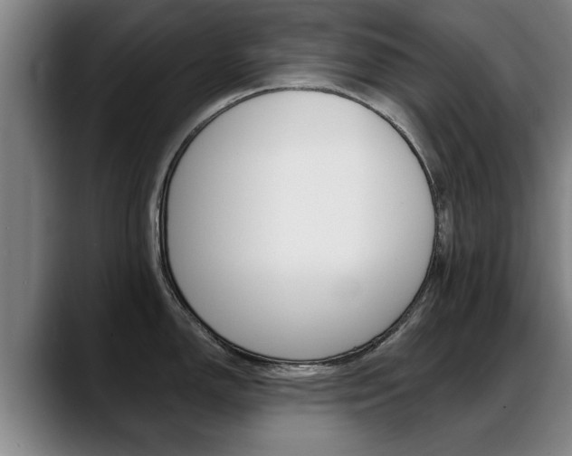 X0000089421150200706150959