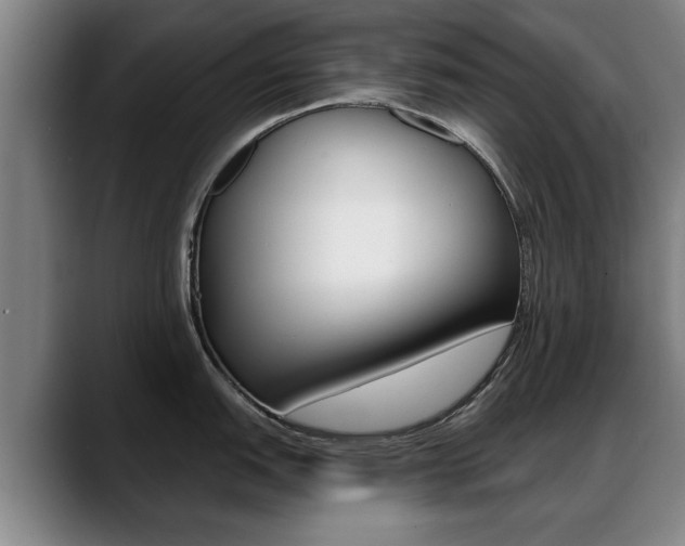 X0000089421151200706150959