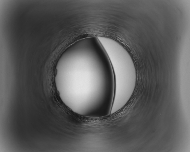 X0000089421153200706150958